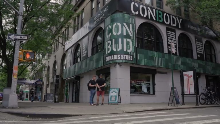 Expert Guide To Conbud Strategies