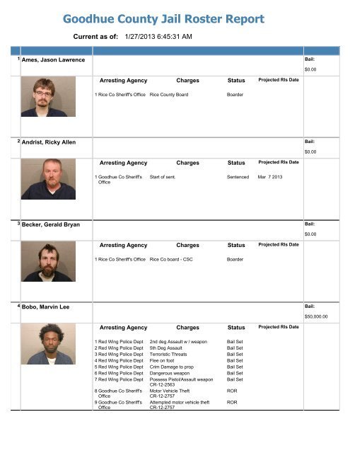 Exploring The Latest Goodhue County Jail Roster