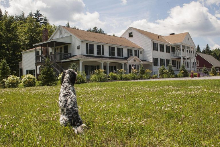 Ultimate Guide To Layla’S Riverside Lodge: Tranquil Escape