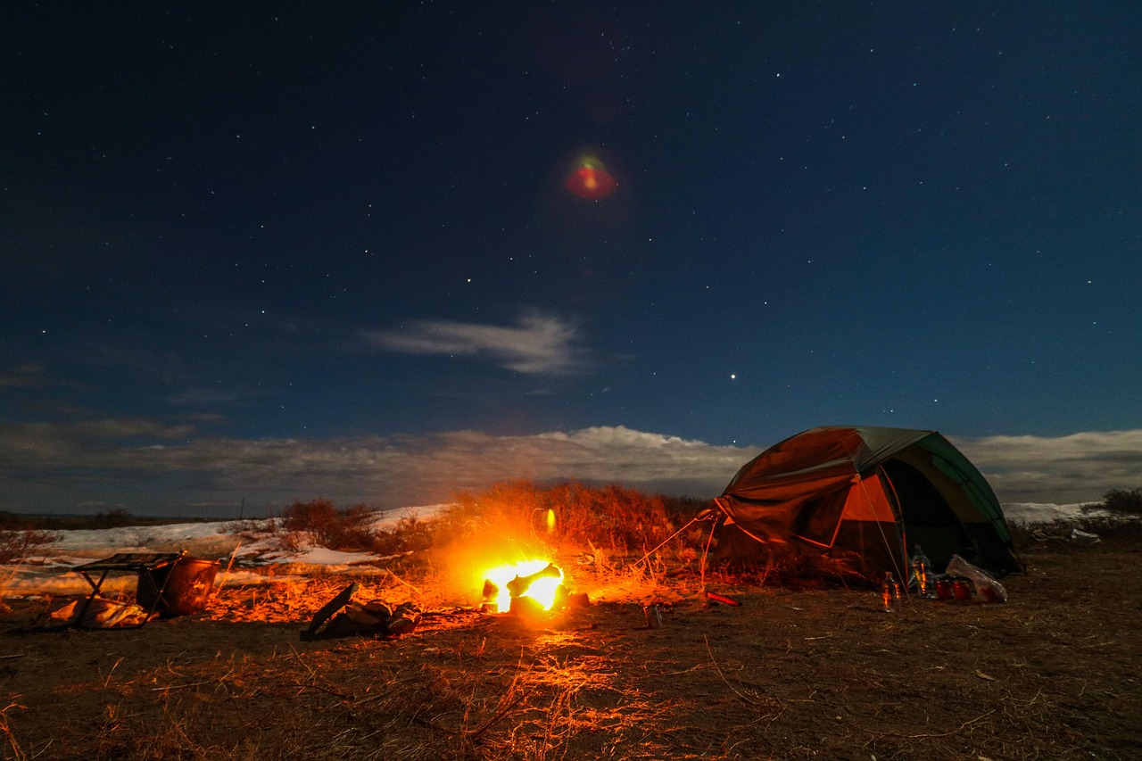Live in nature, starry sky, bonfire — Make Money in Your Sleep With Automated Betting Systems