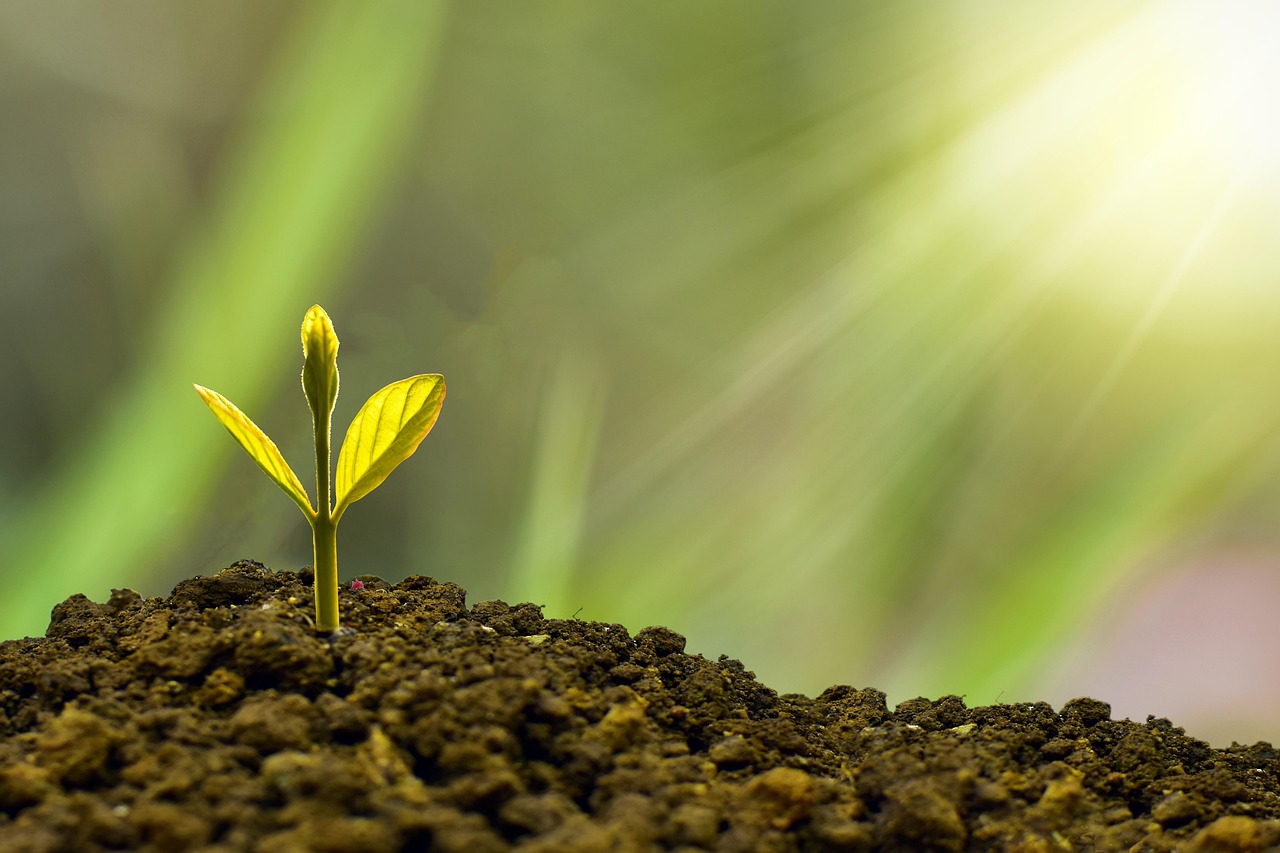 Investment, concept, business — Top 10 Tips on Jurisdiction Selection for Offshore Company Formations