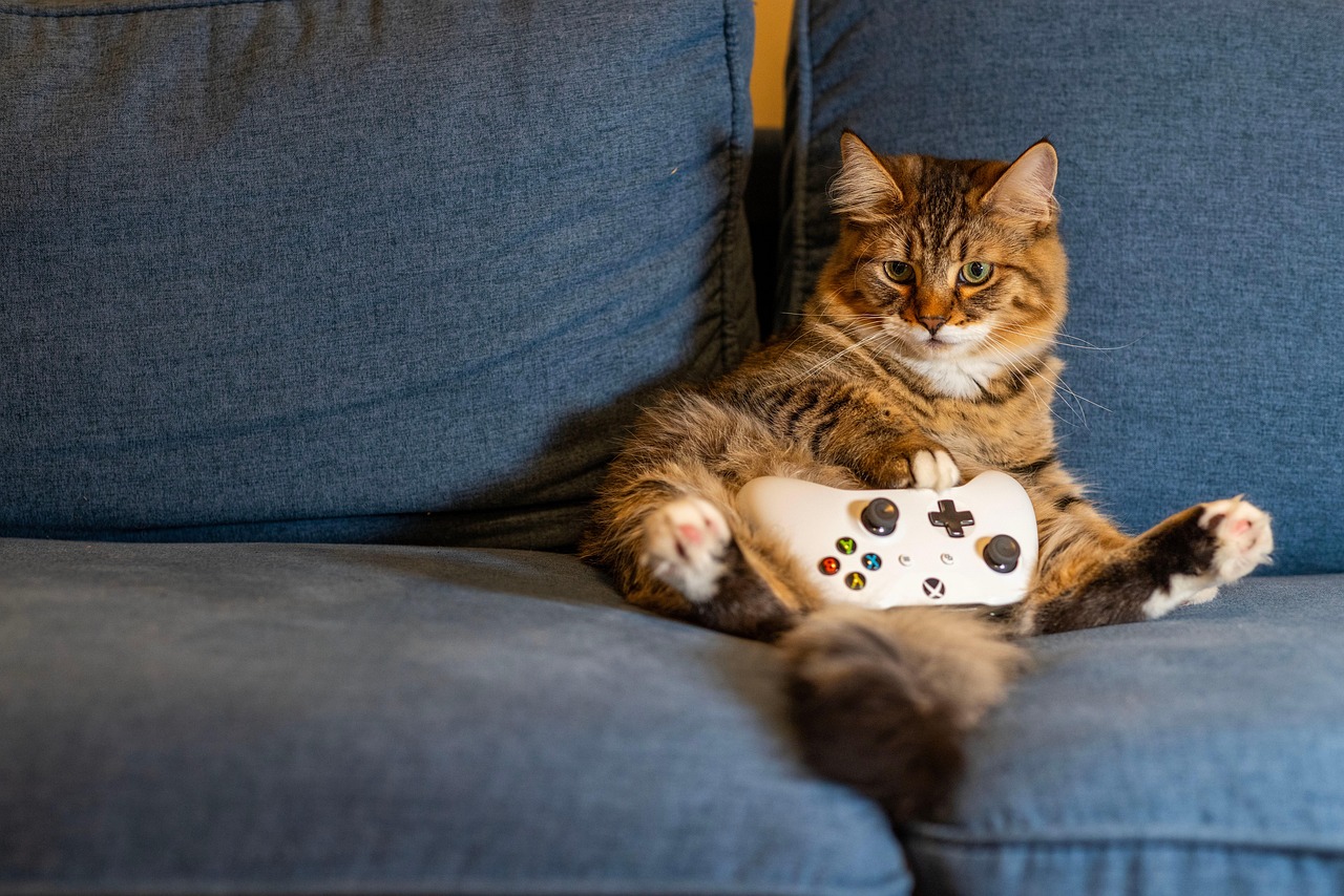 Cat, kitten, nature — W88 Esports: A Thrilling World of Competitive Gaming